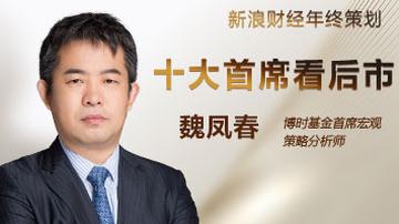 魏凤春：A股牛市远在天边 近在眼前