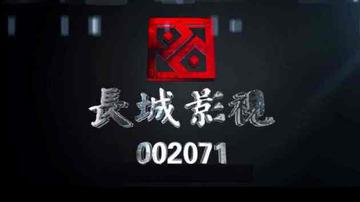 长城系寒冬：长城影视等股权被冻结