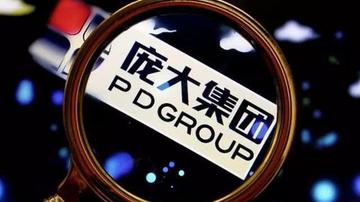 庞大集团不再“庞大”