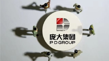 庞大集团突击卖子保业绩