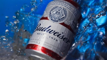百威啤酒，只剩提价？