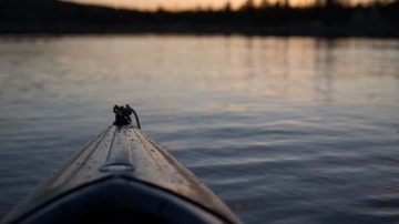 国美改名 但难改命