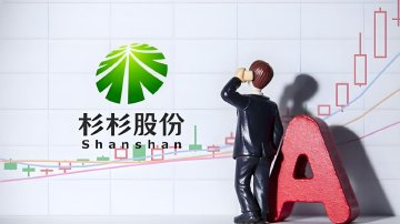 杉杉集团正式进入破产重整