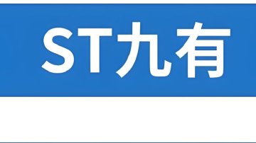 *ST九有退市 财务造假曝光
