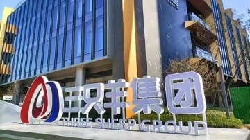 三只羊澄清上市传闻背后