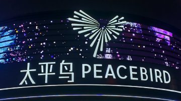 太平鸟股价缩水70%