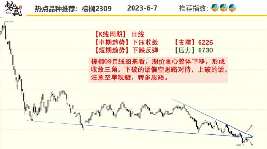 中粮势赢交易:菜油震荡加剧 方向不定