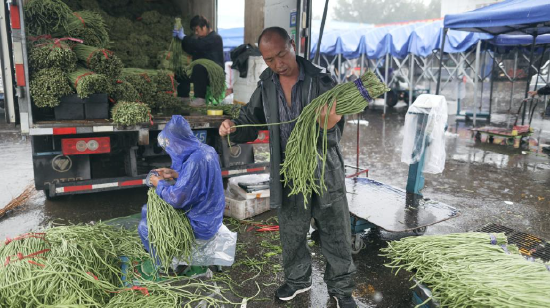 2023年8月1日上昼，北京，新发地市集，商户在平方售卖蔬菜。视觉中国 图