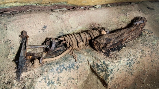洞穴探险家发现一座19世纪时期钴矿 保存完好如同时间胶囊