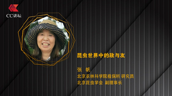 张帆：昆虫世界中的敌与友