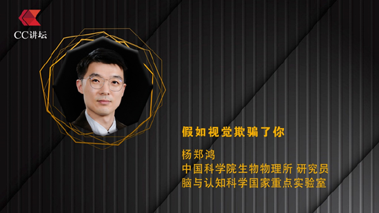 杨郑鸿：假如视觉欺骗了你