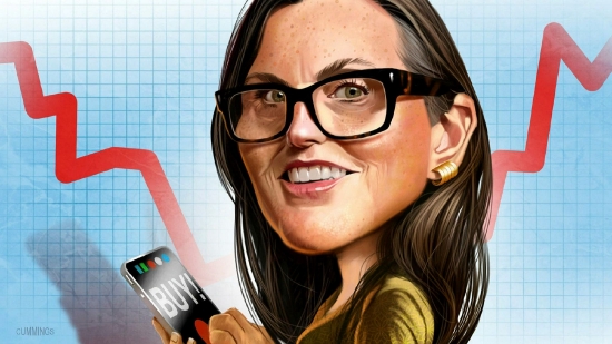 押注四年涨10倍，“木头姐”1200万美元增持第二大重仓股