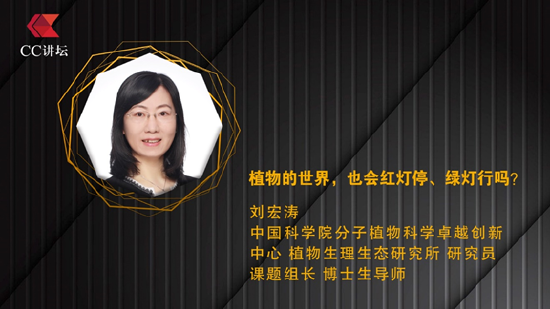 刘宏涛：植物的世界，也会红灯停、绿灯行吗？