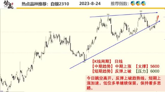 中粮势赢交易:菜油高开高走 尾盘跳水