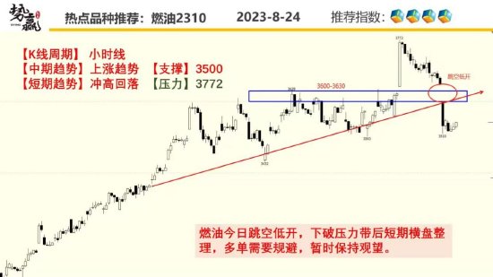 中粮势赢交易:菜油高开高走 尾盘跳水