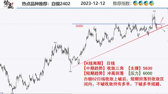 中粮势赢交易：菜油反弹调整 短多长空