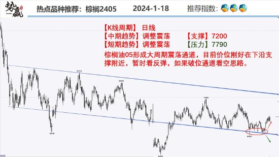 中粮势赢交易：菜油高位调整 继续反弹