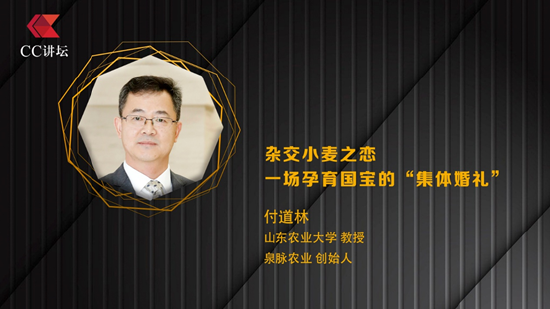 苹果发布:美团礼品卡-山东农业大学付道林：杂交小麦之恋，一场孕育国宝的“集体婚礼”