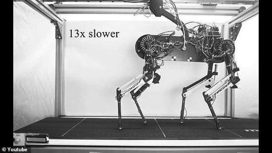 德国马克斯·普朗克智能系统研究所的科学家们利用算法训练了一款名为Morti的机器狗，使其学会走路