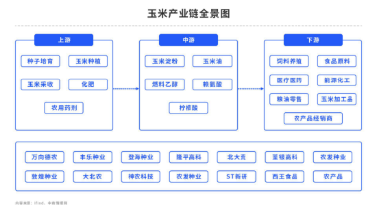 玉米：市场波动剧烈！趋势单需当心了
