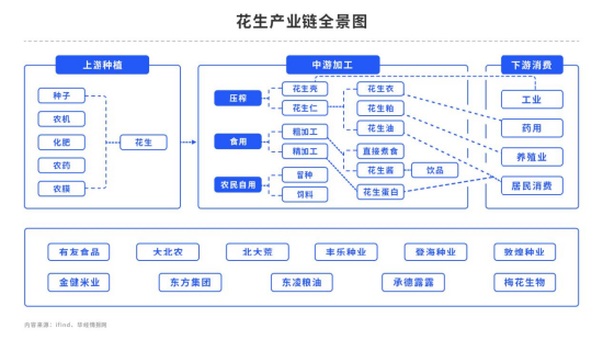 中粮期货:主力油厂开收 花生提振走强