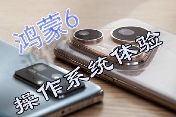 夫物芸芸，将展其形