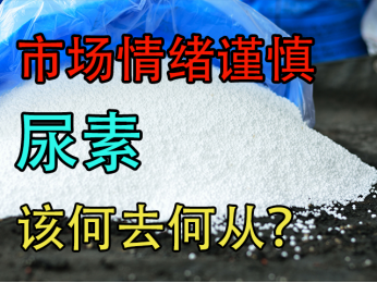 尿素市场情绪谨慎,该何去何从?