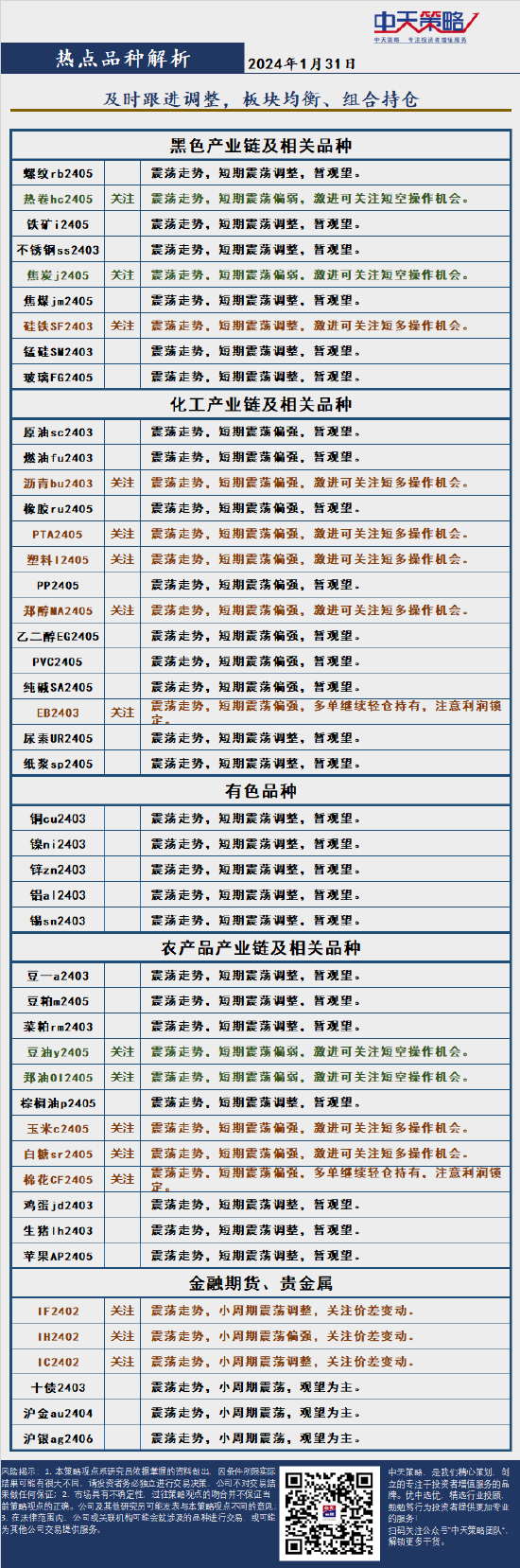 中天策略:1月31日市场分析