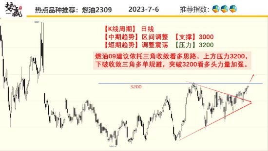 中粮势赢交易:菜油尾盘冲高 领涨油脂