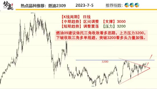 中粮势赢交易:缺乏指引 菜油偏强调整