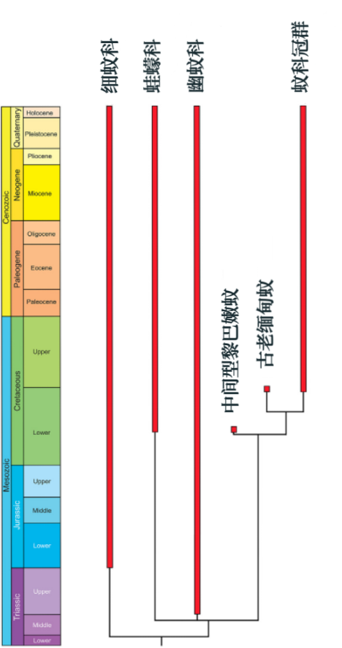 血色家族的谱系图 (图片来源:丹尼·阿扎)