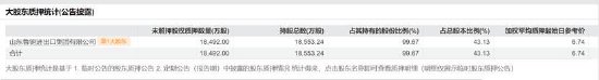 新华锦退市风险有多大？控股股东股份遭遇司法冻结 财务总监财报不保真
