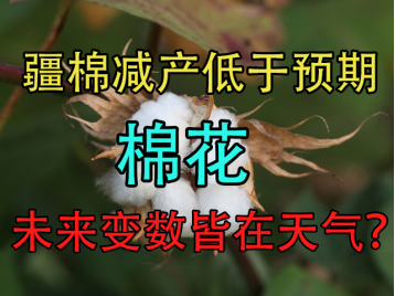 棉花：疆棉减产抢收低于预期，未来变数皆在天气？