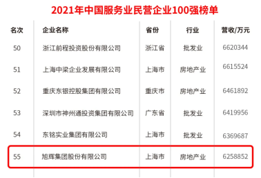 2021中国服务业民营企业100强榜单