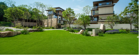 抖音点赞量免费业务网址，如何找到最便宜的？