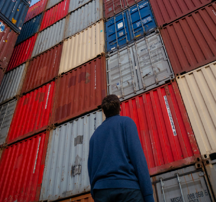 新一轮低价之战，京东胜算几何？