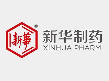 山东新华制药股份