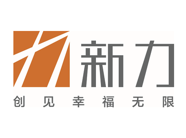 新力控股集团