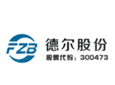 阜新德尔汽车部件股份有限公司