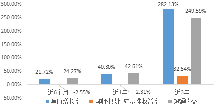 （数据来源：基金2021年年报，截至2021/12/31）