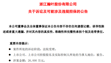 瀚叶股份涉嫌违规担保及资金占用 股民或可维权