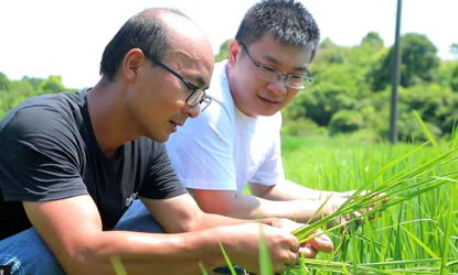 “中国东方教育学子打造现代化生态农业基地，用产业带动乡村振兴