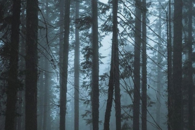 9月共计73款国产网游过审，腾讯、网易均有产品获得版号