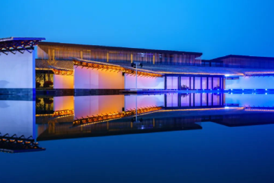 乌镇“蝶舞”：挥动数字的翅膀