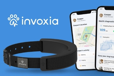 Invoia 推出狗狗智能项圈：可跟踪心脏活动，支持逃脱警报
