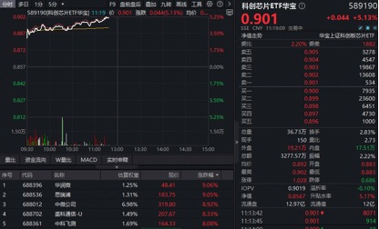 dy播放自助下单服务网址，秒到账操作揭秘？