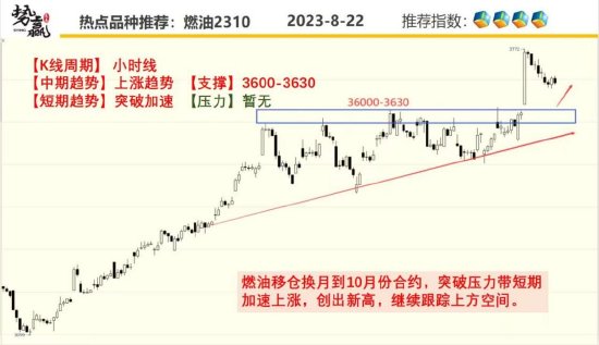 中粮势赢交易:甲醇V形形态 正在反转
