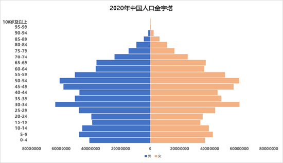 2020年中国人口金字塔 资料来源:《中国人口和就业统计年鉴—2021》