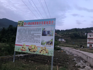 重庆市万州区桐元村猕猴桃产业示范基地