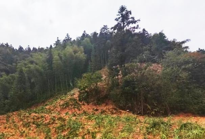 图注：中国黄金集团淘金冲矿区已完成地质环境治理与土地复垦工作，呈现生态修复后的全新矿区景观。